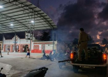 Refuerza Gobierno del Estado acciones contra mosquitos en la franja costera durante periodo vacacional