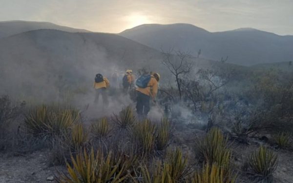 Refuerzan brigadistas de la SEDUMA combate a incendio de pastizales en Tula