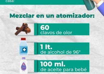 Repelente casero, alternativa efectiva para prevenir el dengue: SSO