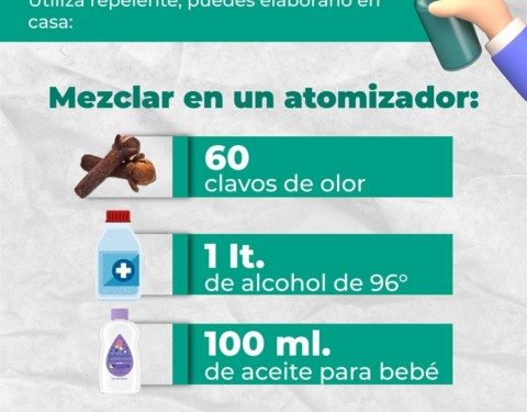 Repelente casero, alternativa efectiva para prevenir el dengue: SSO