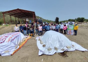 Capacita Secretaría de Medio Ambiente a autoridades municipales en materia de composteo de pañales