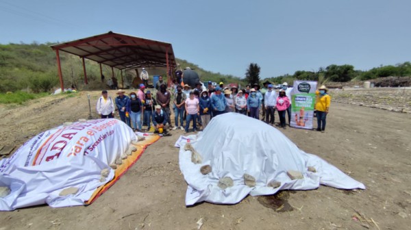 Capacita Secretaría de Medio Ambiente a autoridades municipales en materia de composteo de pañales
