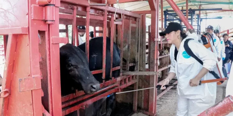 Fortalece Chihuahua la sanidad agropecuaria con inversión conjunta superior a 415 millones de pesos