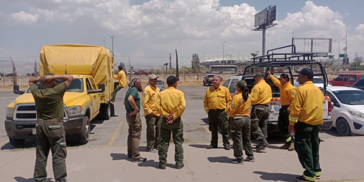 Arriba segundo grupo de brigadistas de otros estados para hacer frente a los 23 incendios forestales activos en Chihuahua