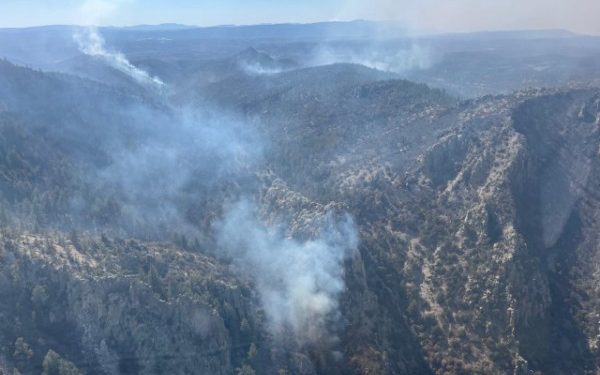 Combaten 435 brigadistas 24 incendios forestales activos en la entidad