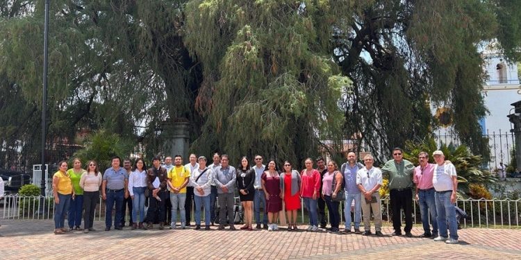 Coordina Secretaría de Medio Ambiente acciones de cuidado y conservación del árbol del Tule