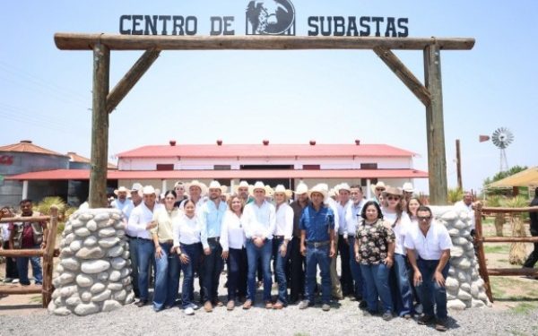 Entrega Manolo 400 toros a productores de Coahuila