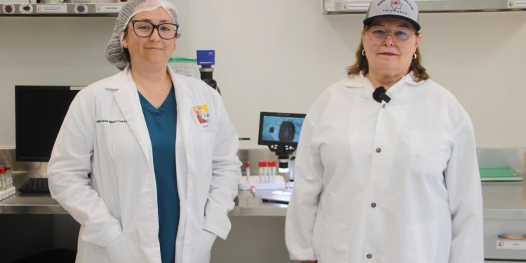 Integran el Grupo Estatal para el Control del Gusano Barrenador del Ganado en Chihuahua