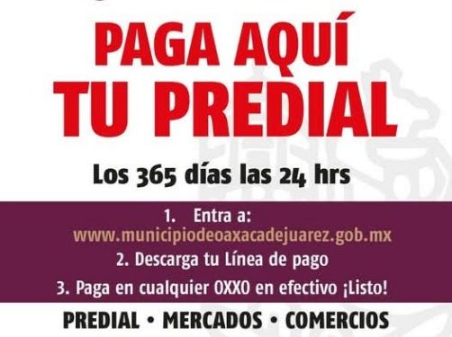 Cumplir es más fácil: cajas recaudadoras activas y pagos a meses sin intereses