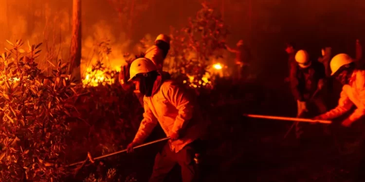 Reporta Secretaría de Desarrollo Rural 17 mil hectáreas con afectaciones por incendios forestales