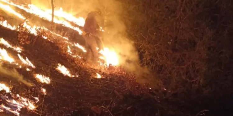Reportan 12 incendios forestales activos en el estado