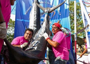 Genera Torneo Internacional de Marlín Huatulco 2025 derrama económica de 78 mdp: Sectur Oaxaca