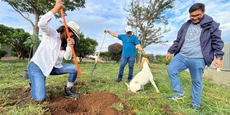 Embellece Coesfo Ciudad Judicial con jornada de reforestación