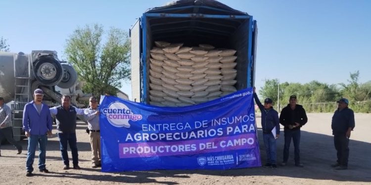 Beneficia Estado a 7 mil ganaderos con cerca de 6 mil toneladas de maíz molido/rolado