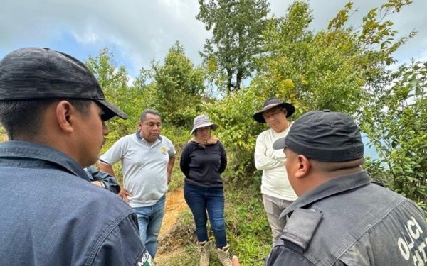 Integran binomio canino a las labores de búsqueda de un menor en la Sierra Mixe