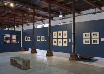 Lu’ Biaani: Francisco Toledo y la fotografía se presenta en el CaSa, tras recorrer museos del país