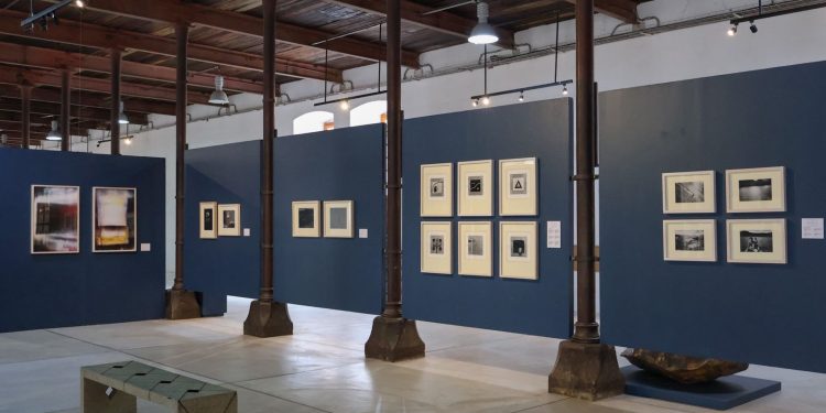 Lu’ Biaani: Francisco Toledo y la fotografía se presenta en el CaSa, tras recorrer museos del país