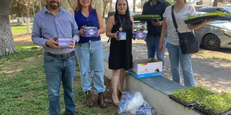 Proyecta Secretaría de Desarrollo Rural entregar más de 12 mil cajas de semillas de hortaliza en 2025