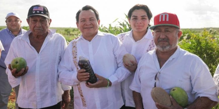 Respalda el Gobierno del Estado a productores del sur con más caminos sacacosechas