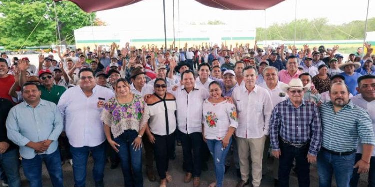 Yucatán reafirma su liderazgo nacional en la producción de limón persa