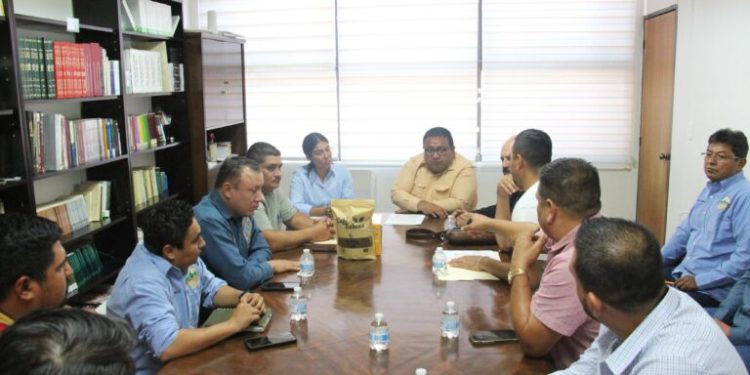 Con hechos, Evelyn Salgado cumple a la región Sierra de Guerrero