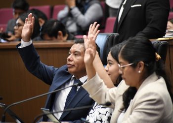 Congreso de Oaxaca fortalece la protección de los derechos humanos de las personas con discapacidad, adultas mayores y comunidades indígenas y afromexicanas