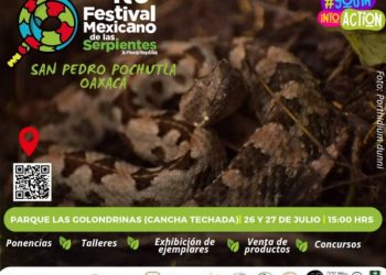 Impulsa Secretaría de Medio Ambiente nueva edición del Festival Mexicano de las Serpientes
