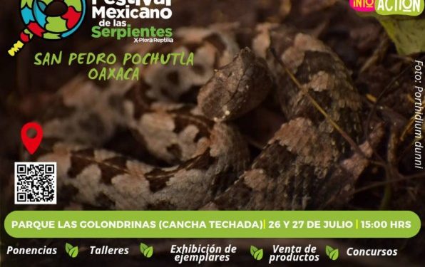 Impulsa Secretaría de Medio Ambiente nueva edición del Festival Mexicano de las Serpientes