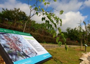 Inaugura Agencia Metropolitana de Bosques Urbanos (AMBU) Arboretum Flores de México, en el Parque Natural Huentitán