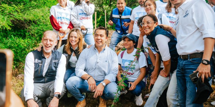 Se une el gobierno de Querétaro para reforestar El Tlacuache