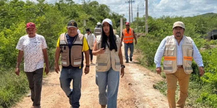 Verifican avances del programa de caminos sacacosechas en Sacalum