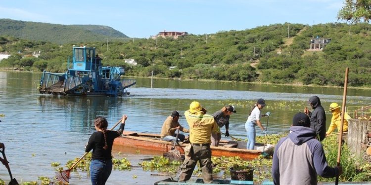 Participa Coesfo en la limpieza de la presa Yosocuta para su saneamiento