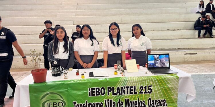 Obtiene IEBO tres primeros lugares en la ExpoCiencias Oaxaca 2025, sede Mixteca