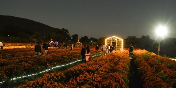 Da Sectur Oaxaca banderazo de salida del circuito floral “Flores que Guían el Alma”