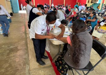 Oaxaca sin casos de rabia humana, resultado de estrategias de prevención: SSO