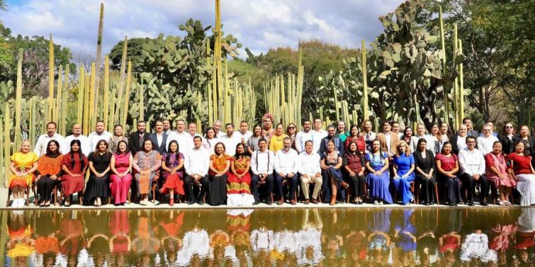 Contribuye Primavera Oaxaqueña en construcción de procesos electorales fortalecidos e inclusivos: Salomón Jara