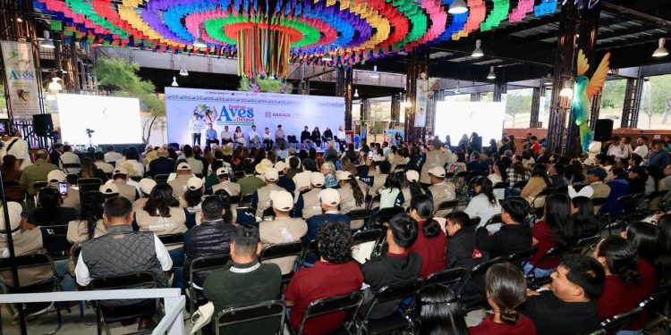 En Festival de las Aves de Oaxaca, Gobernador Salomón Jara reconoce el cuidado de la riqueza natural de la entidad