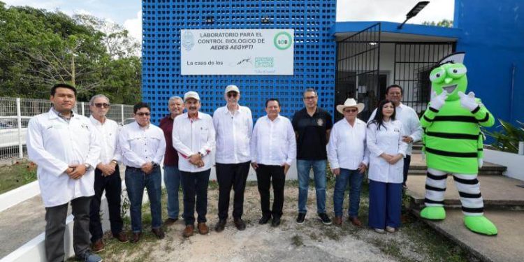 Gobierno de Yucatán y Sader evalúan nueva biofábrica para combatir gusano barrenador