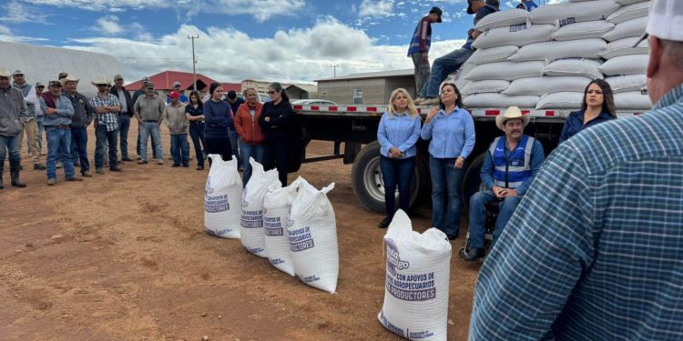 Invierte Estado más de 300 mdp en 2025 en estrategia integral de apoyo a productores