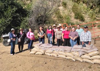Lleva Gobierno del Estado apoyo alimentario a 200 familias de Ocampo