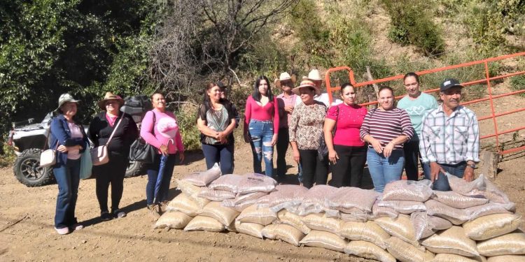 Lleva Gobierno del Estado apoyo alimentario a 200 familias de Ocampo