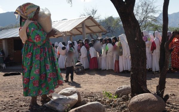 Impulsa SPyCI autosuficiencia alimentaria de comunidades de pueblos originarios