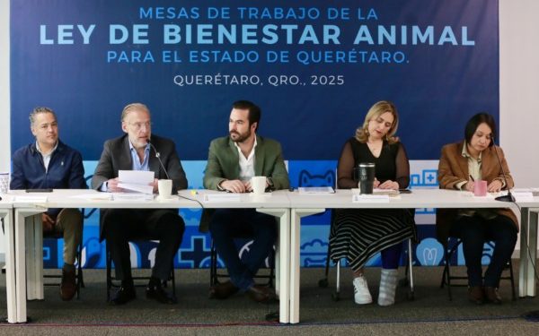 Participa Marco Del Prete en mesa de trabajo de la Ley de Bienestar Animal