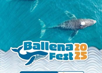 Invita Sectur Oaxaca al Ballena Fest 2025 en Puerto Ángel