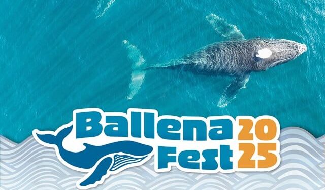 Invita Sectur Oaxaca al Ballena Fest 2025 en Puerto Ángel
